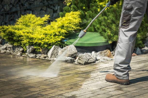 Best Boat and Dock Cleaning  in Lake Mary, FL